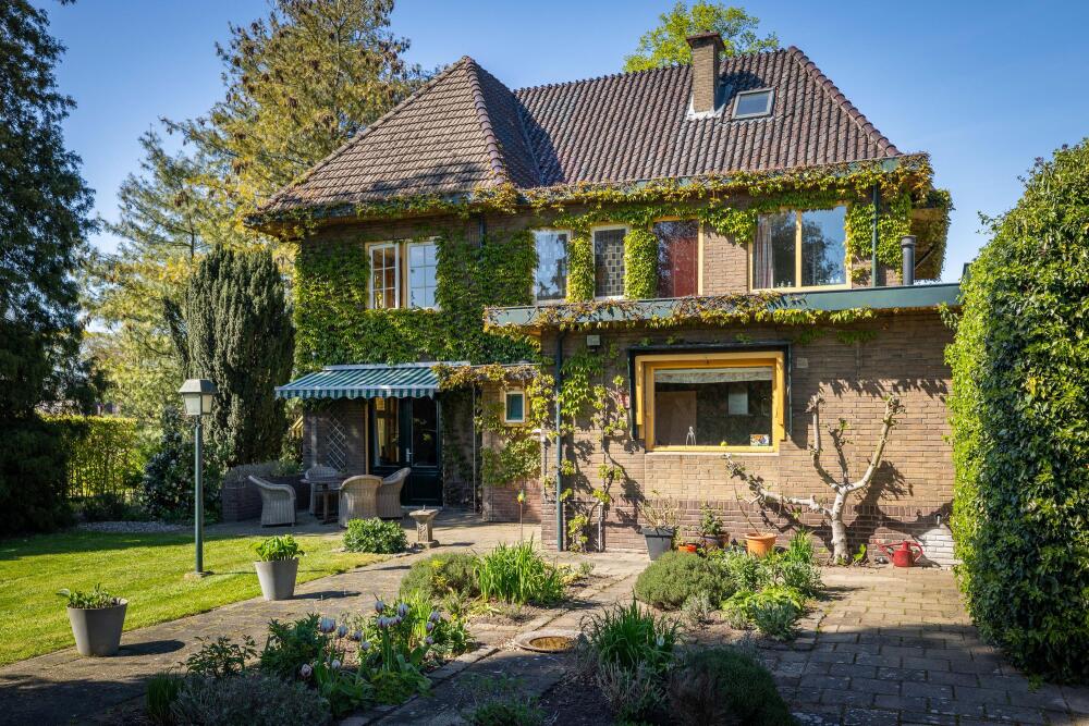 Foto 2 1000w