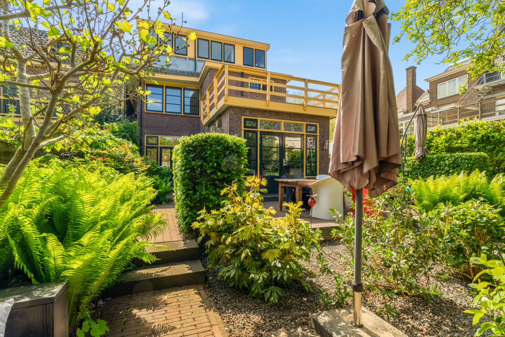 Foto 4 1000w