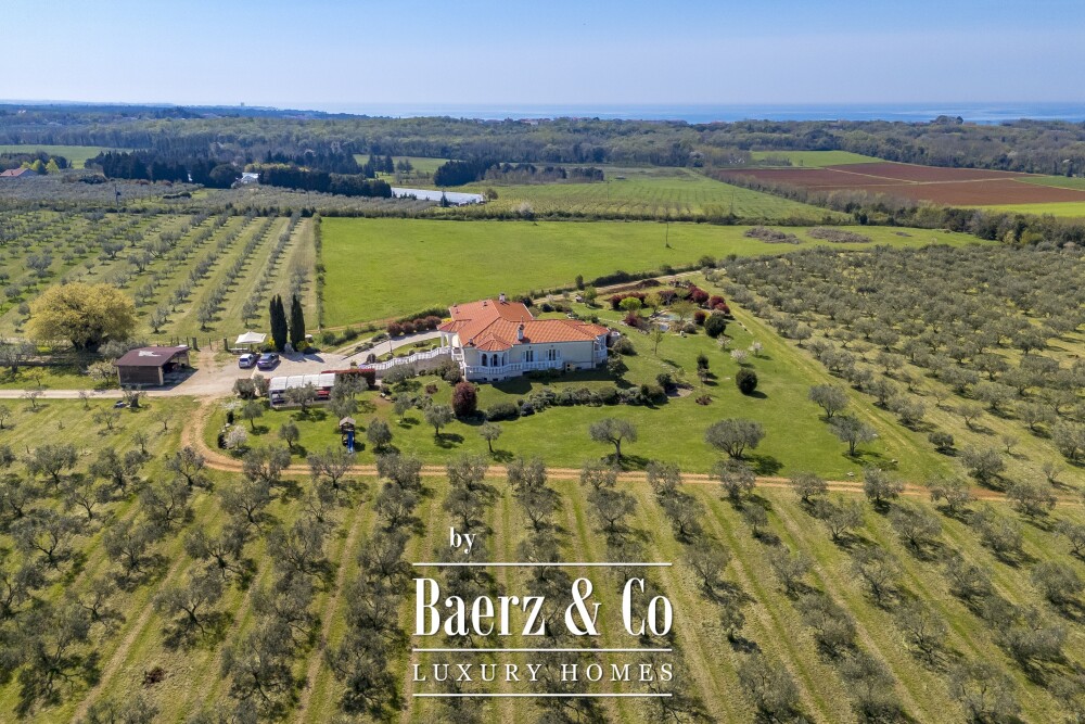 Foto 3 1000w