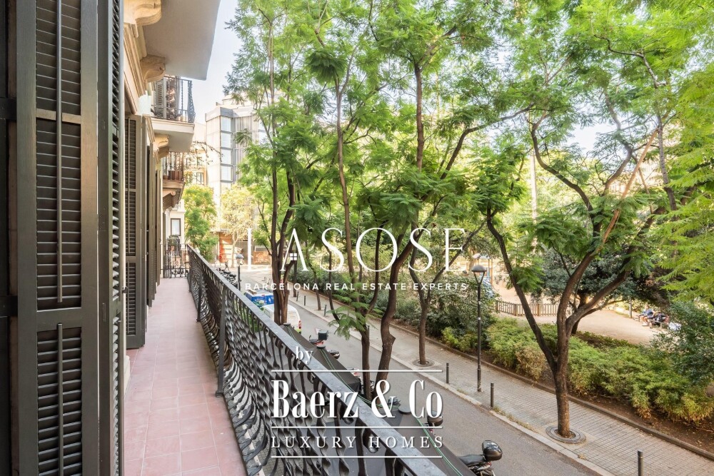 Foto 19 1000w
