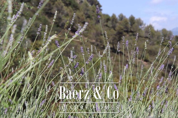 photo 45 Country house for sale 480 m²