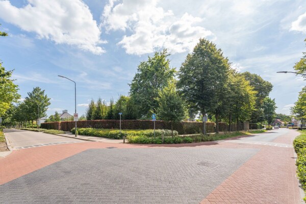 photo 83 Hoogbraak 48