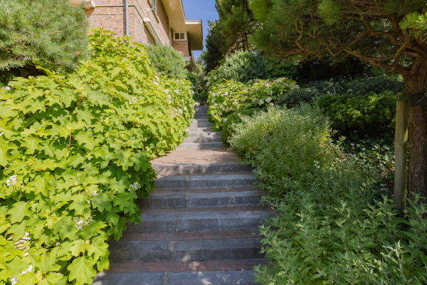 photo 6 Dennenweg 8