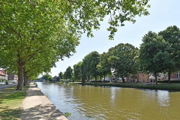 photo 3 Oostplantsoen 100