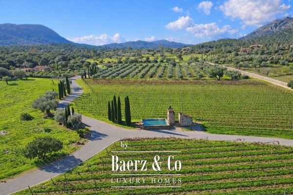 photo 10 Exclusive Wine Estate with Bodega, Olive Grove and 10 Hectares of Private Forest