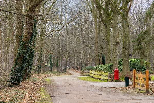photo 37 Polhaarweg 7