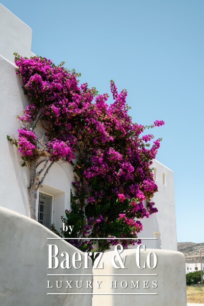 photo 2 Naxos Seaside Villa