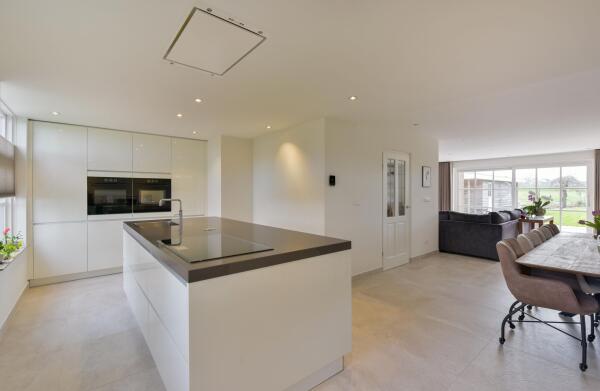 photo 13 Timotheegras 13