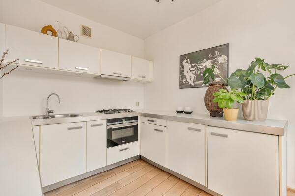 photo 8 Balthasar Floriszstraat 12 3