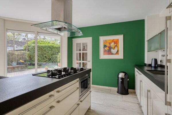 photo 23 Zilvermos 2