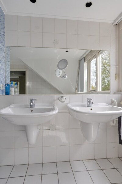 photo 48 Zilvermos 2