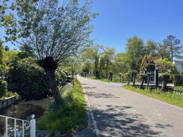 photo 10 's-Gravenweg 178