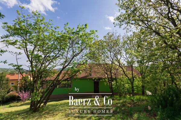 photo 5 Cernik, Čavle, renovated house of 288 m² with 3,448 m² of land.