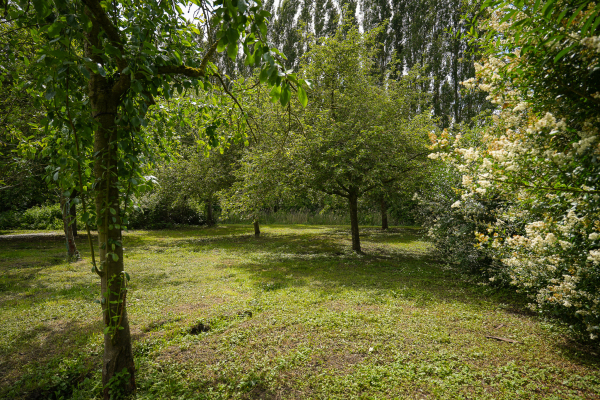 photo 75 Dorpsstraat 18