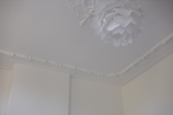 photo 28 Witte Singel 46