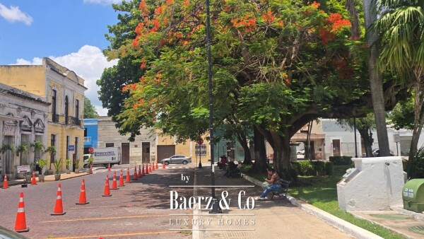 photo 10 Calle 50A 493A