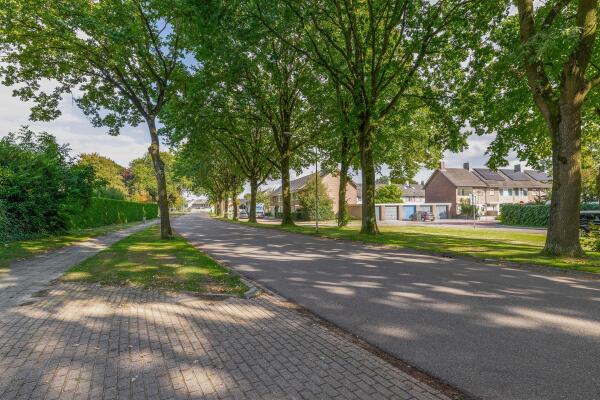 photo 84 Schommerveld 21